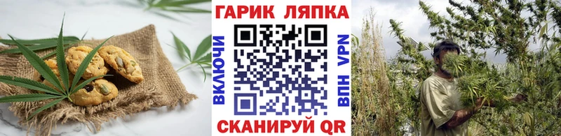 купить наркотики сайты  Майкоп  Печенье с ТГК конопля 