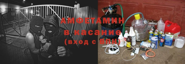ПСИЛОЦИБИНОВЫЕ ГРИБЫ Богданович