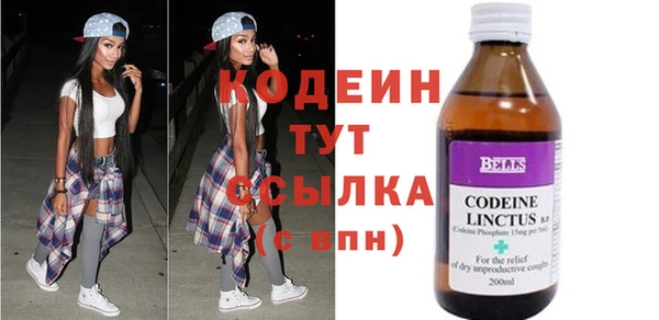 ПСИЛОЦИБИНОВЫЕ ГРИБЫ Богданович