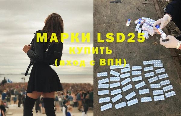 ПСИЛОЦИБИНОВЫЕ ГРИБЫ Богданович