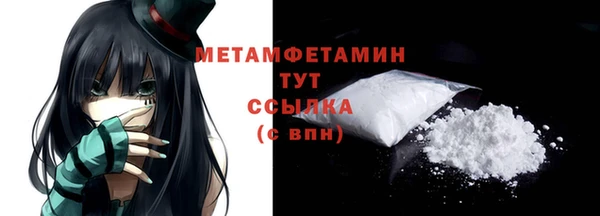 ПСИЛОЦИБИНОВЫЕ ГРИБЫ Богданович