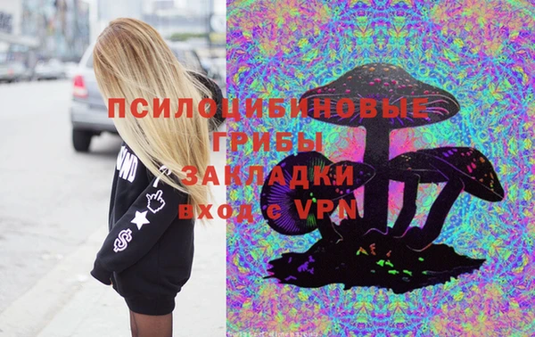 мдпв Богородицк