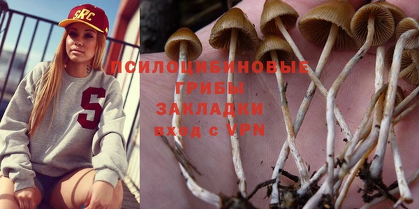 мдпв Богородицк