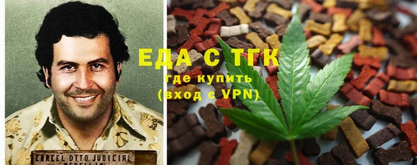 мдпв Богородицк