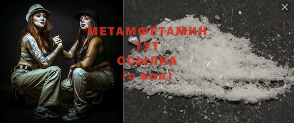 ПСИЛОЦИБИНОВЫЕ ГРИБЫ Богданович