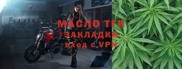 мдпв Богородицк