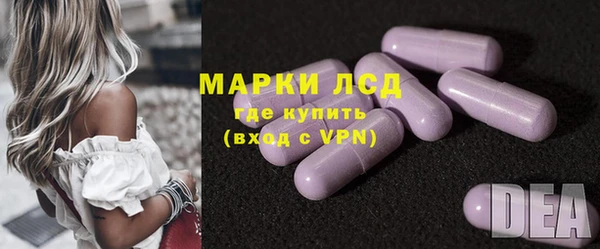 ПСИЛОЦИБИНОВЫЕ ГРИБЫ Богданович