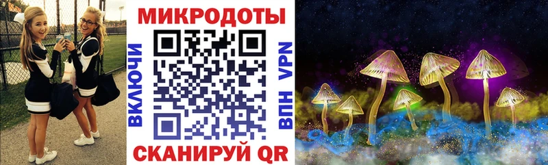Галлюциногенные грибы прущие грибы Майкоп