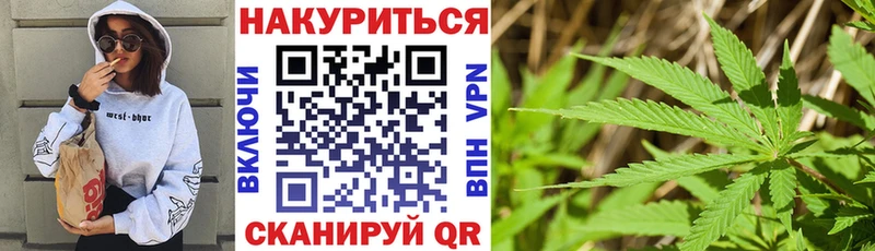 блэк спрут как войти  наркота  сайты даркнета какой сайт  Шишки марихуана Ganja  Майкоп 